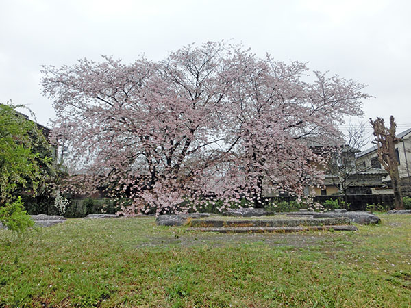 160407nar4.JPG