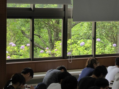 0707-4.jpg