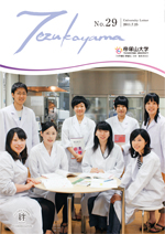 大学通信帝塚山 No.29 (2010.12.25)