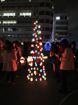 001_candletree20141204.jpg