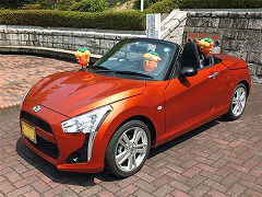 copen001.jpg