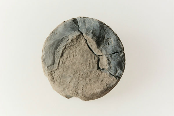K02756_2.jpg