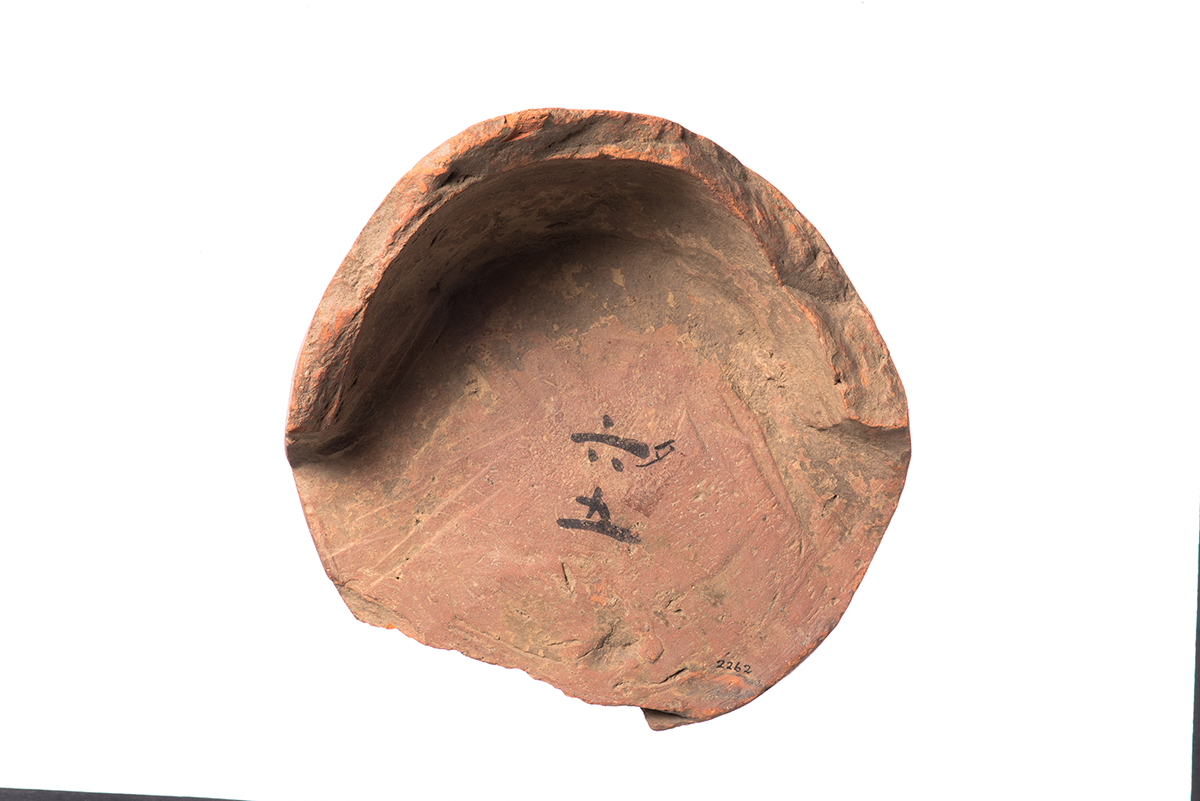 K02262_2.jpg