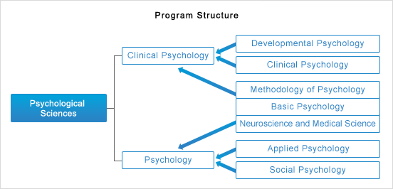 Program Structure